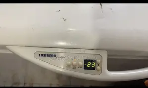 300l Liebherr German Freezer