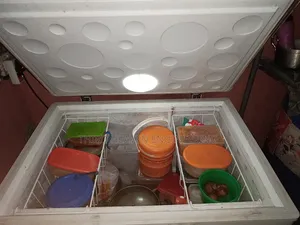 259l Freezer