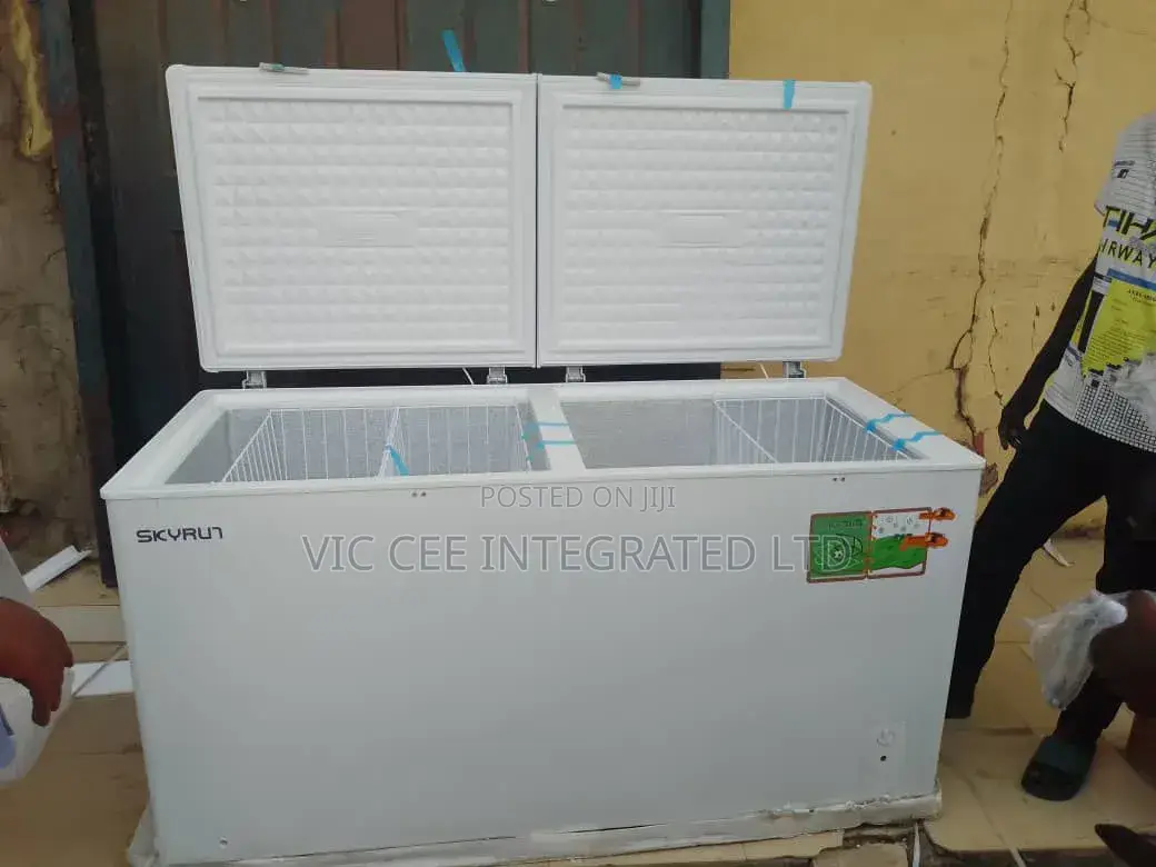 Skyrun Freezer Bd420w