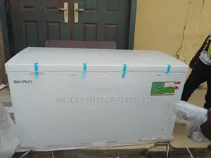 Skyrun Freezer Bd420w