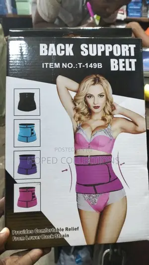 Back Support Belt