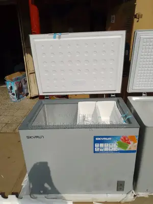 Skyrun Chest Freezer Bd260a