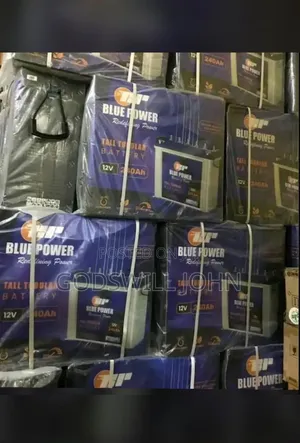 Blue Power Tall Tubular Battery