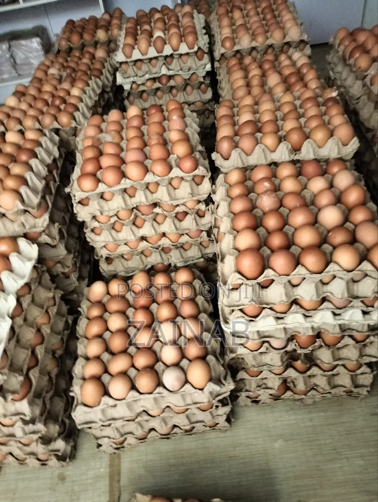Fresh Poultry Eggs