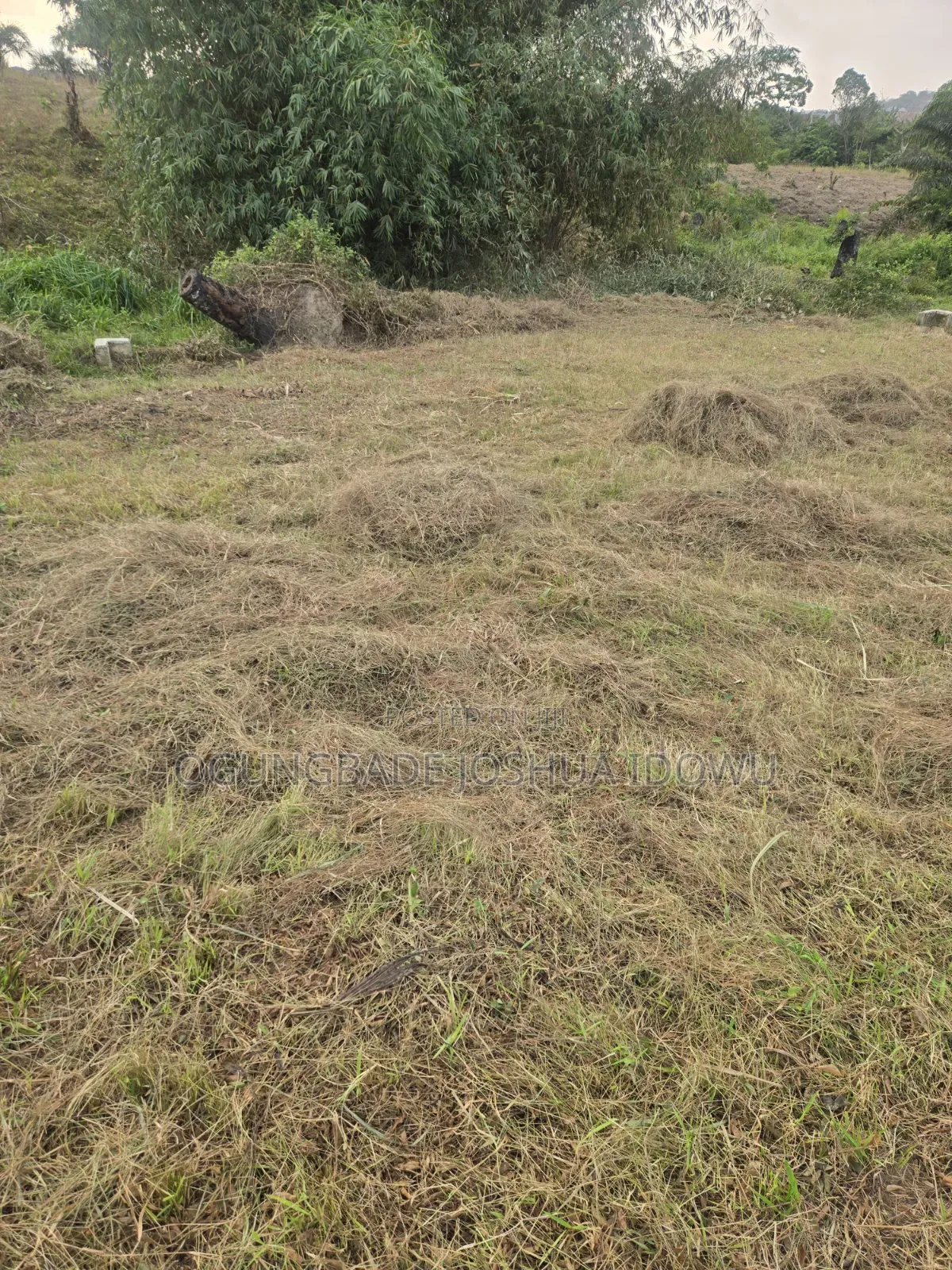 Half Plot for Sale