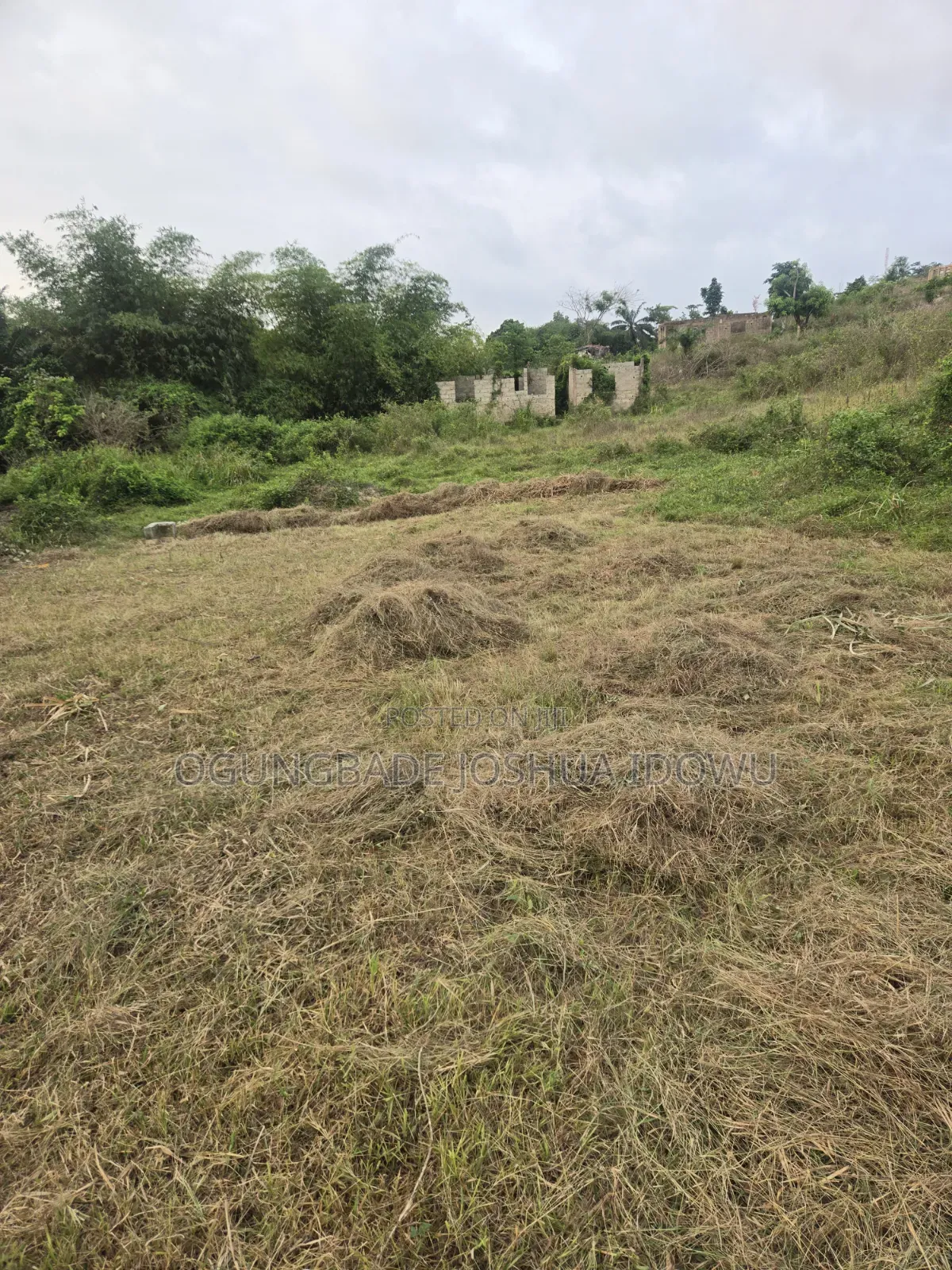 Half Plot for Sale