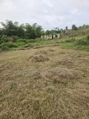Half Plot for Sale