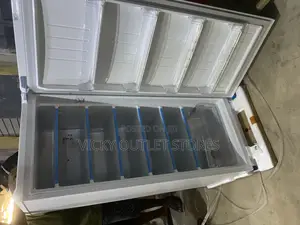 Lg 304 Upright Freezer