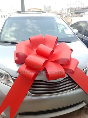 Buy Giant Car Bow On New Car Gift. Lagos Promo