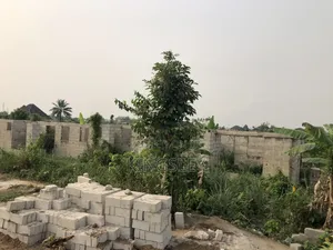 Lintel Level Multi-unit Bungalow (2units Of 1-bdrm & 1 Unit Of 2-bdrm)
