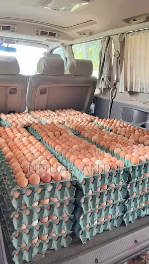 Poultry Eggs On Limited Order
