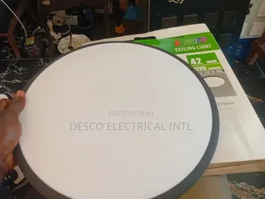 Ceiling Light