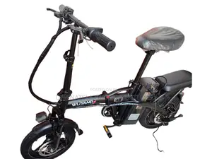 Compact Foldable Electric Bicycle With Battery