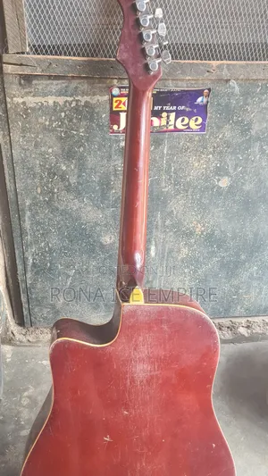 Semi Acoustic Guitar