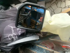 Ford F150 Side Mirror