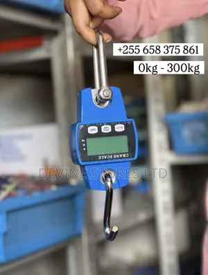 300kg Digital Crane Scale