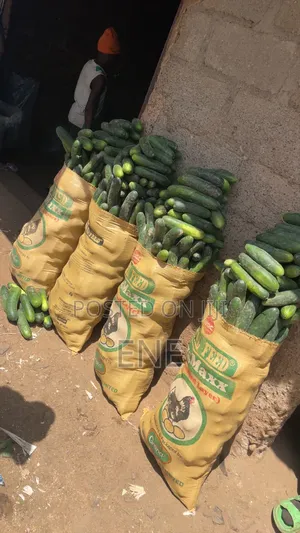 Fresh Cucumber