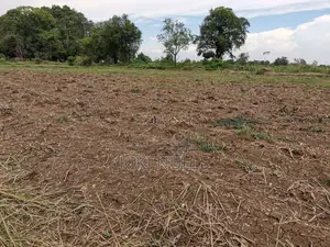 Fcda Approved Land for Sale in Maitama for Sale
