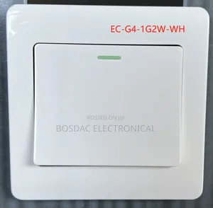Switch and Socket