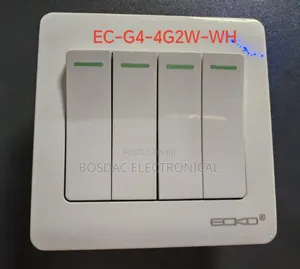 Switch and Socket