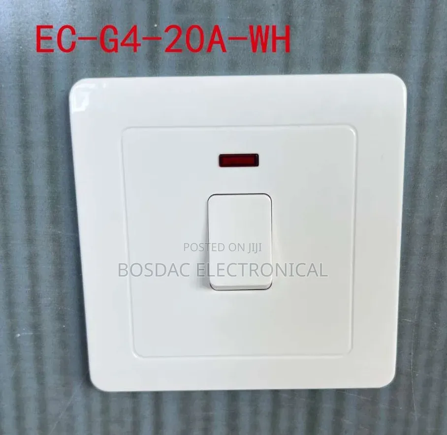Switch and Socket