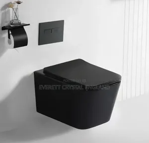 Matt Black Conceal Water Closet