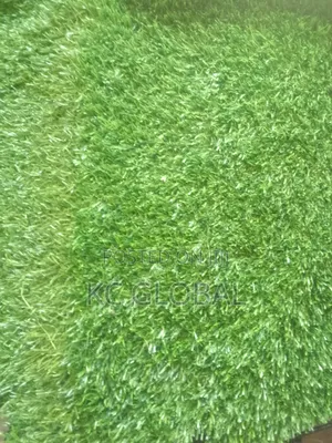 Artificial Grass.Authenticated.Available in Different Sizes Colors.