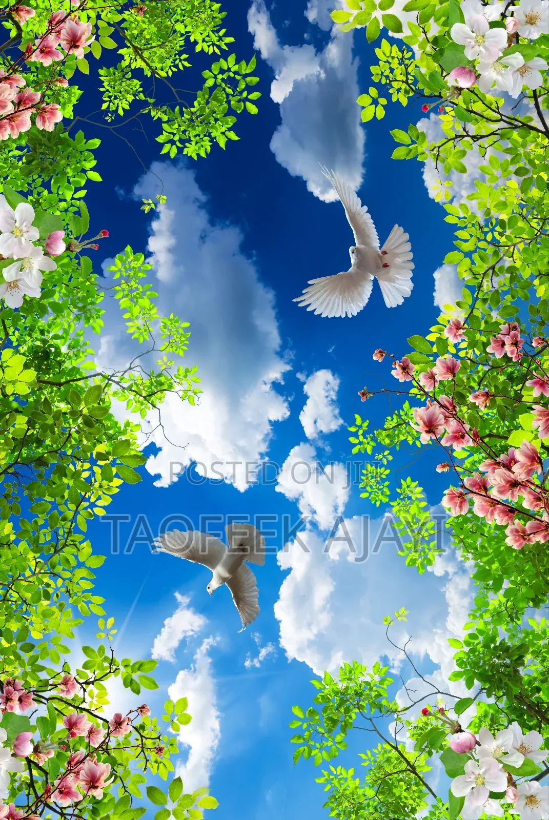 Mesh_linqks LTD