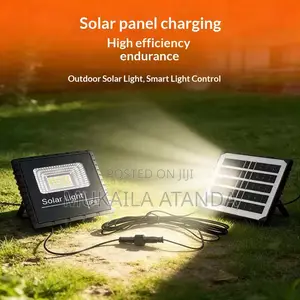 Solar Flood Light