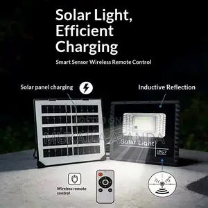 Solar Flood Light