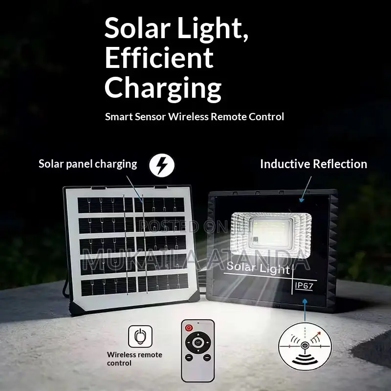 Solar Flood Light