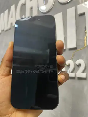 Apple iPhone 17 256 GB Gray