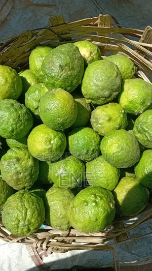 Juicy Lemon