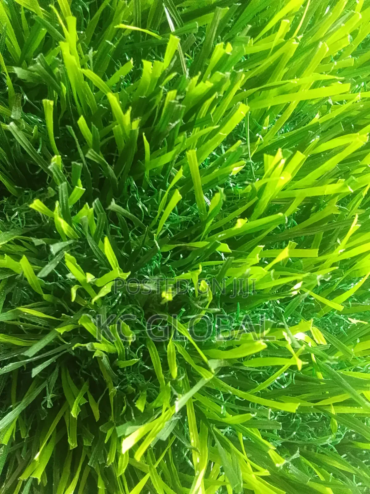 Artificial Grass Available in Different Sizes and Colors. High Quality