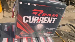 Current Tall Tubular Battery
