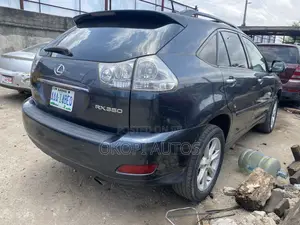 Lexus RX 2008 Gray