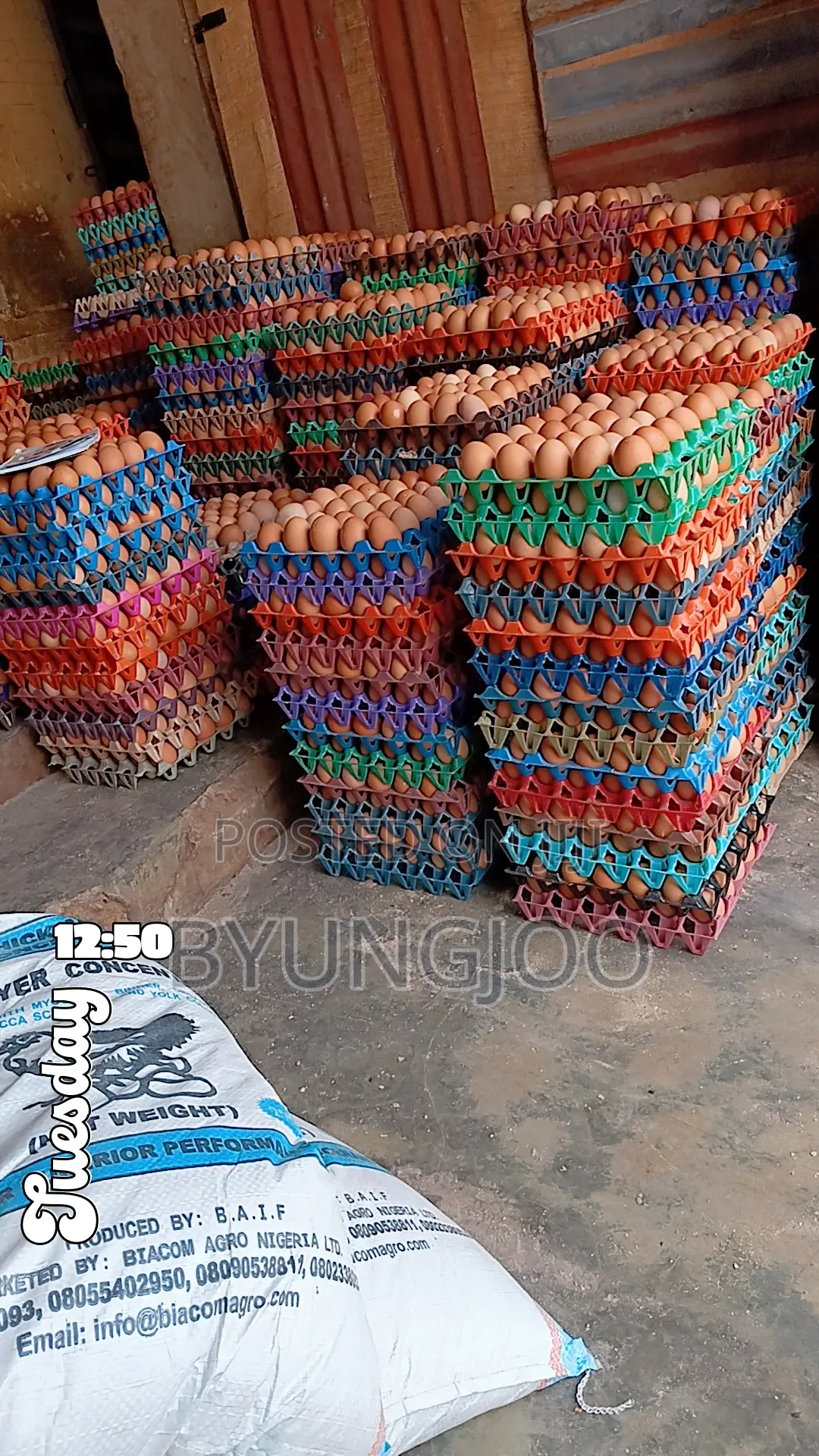 Crates Eggs