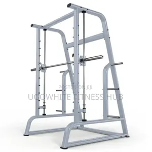 Commercial-Grade Smith Machine Used for Weight Training.