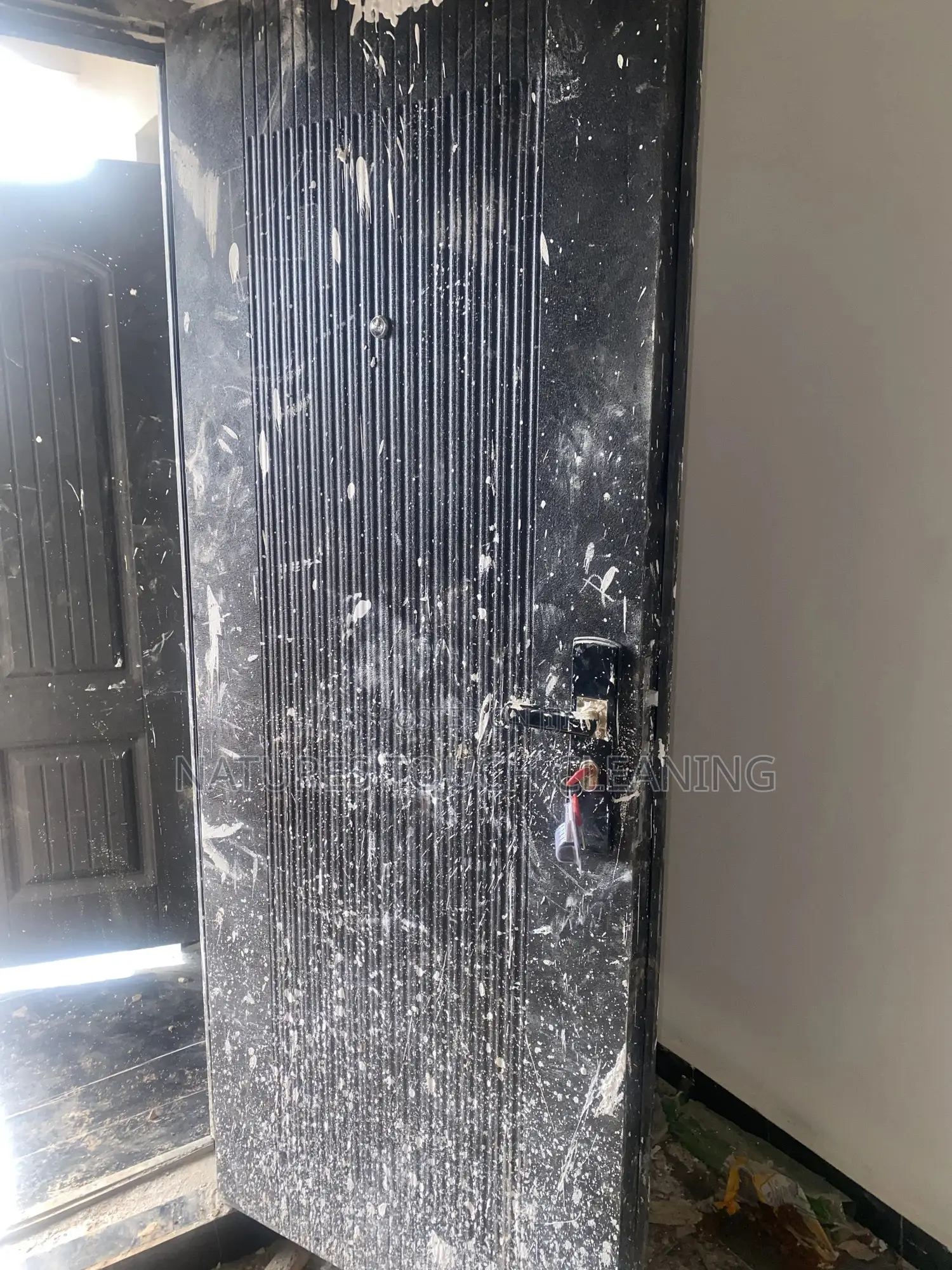 Professional Cleaning Services