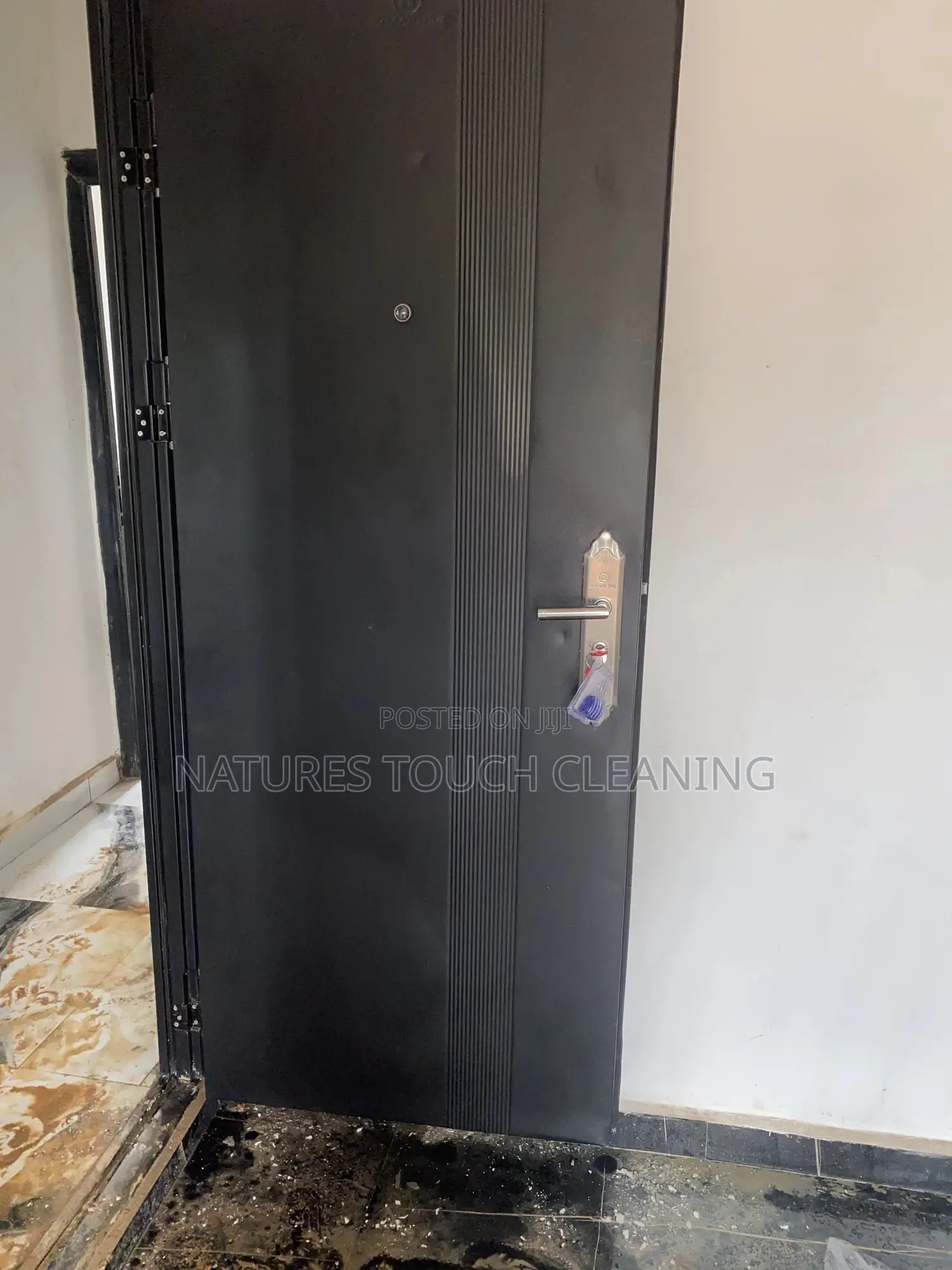 Professional Cleaning Services