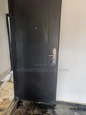 Professional Cleaning Services