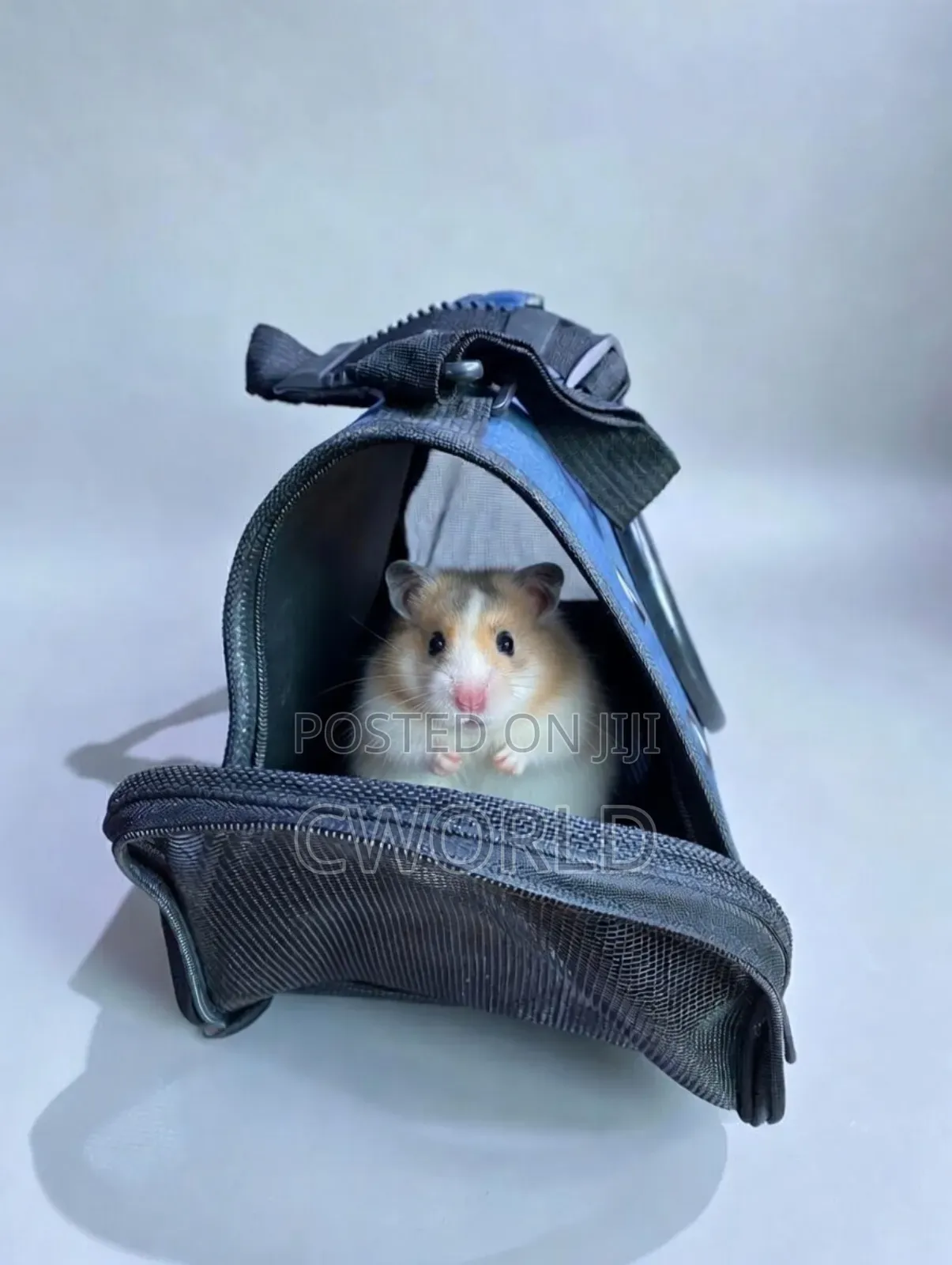 Portable Pet Carrier