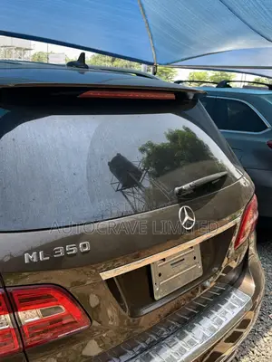 Mercedes-Benz M Class ML 350 4x2 2013 Brown