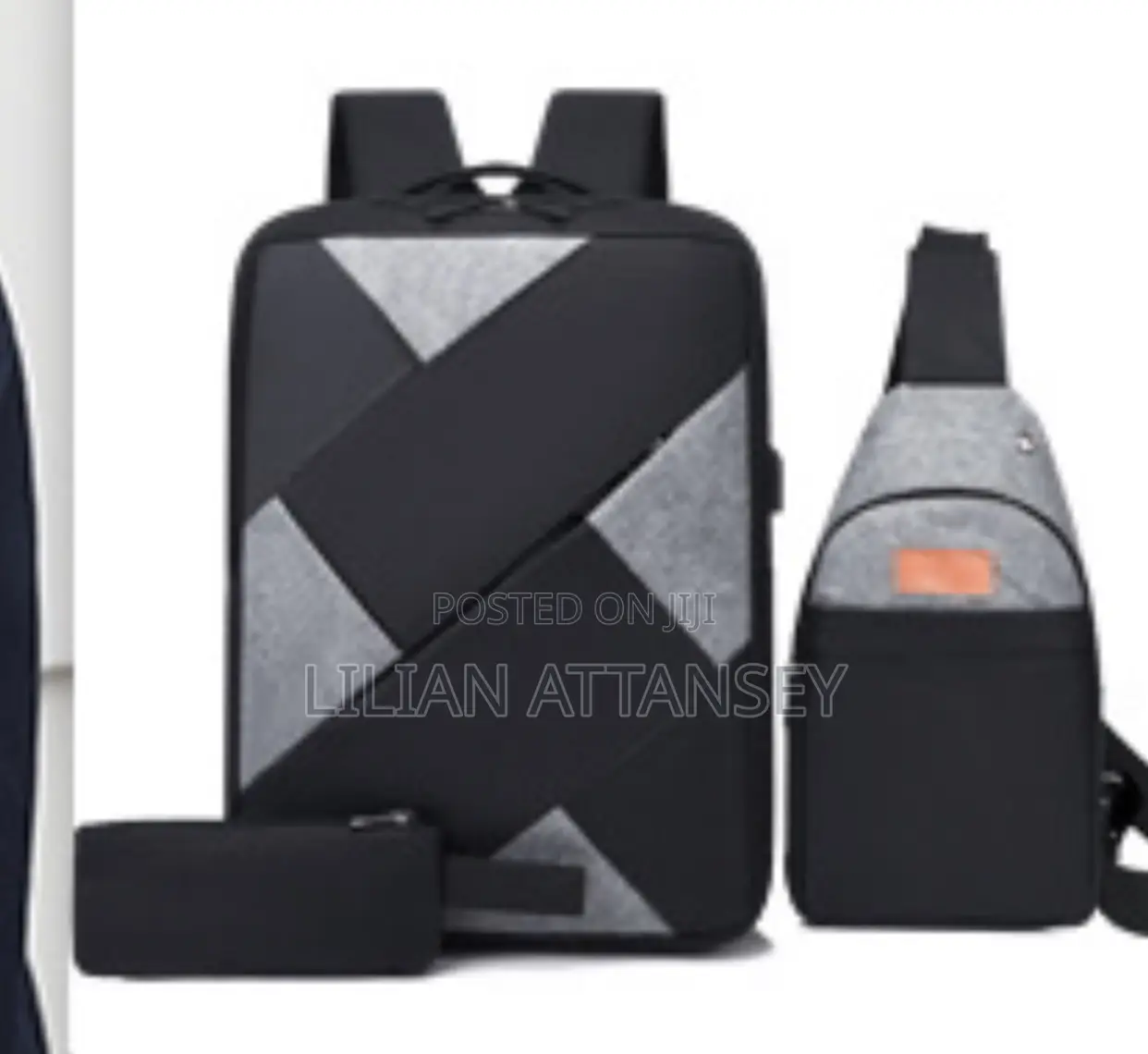 3in 1 Back Pack