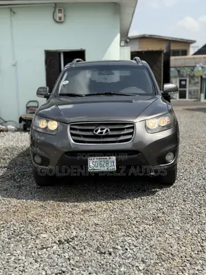 Hyundai Santa Fe 2010 Gray