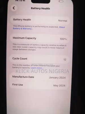 Apple iPhone 15 Pro Max 256 GB Silver