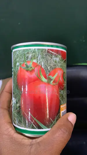 Tomato Mona