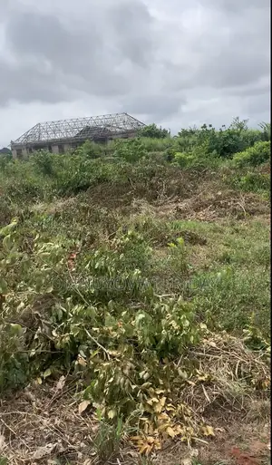 100/100 for Sale at Iguodia Community