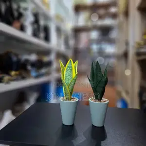 Aloe Vera Cup Flower Vase Available as Seen