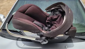 Nuna Infants Car Seat